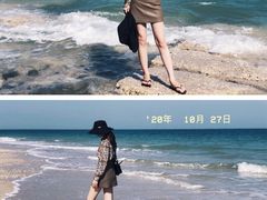 -贝壳沙滩