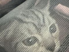 -宠福鑫康馨动物医院·骨科·眼科