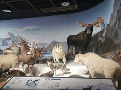 -陕西自然博物馆