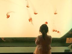 -沈阳海洋探索中心