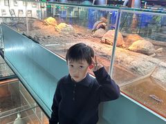 -上海大自然野生昆虫馆(东方明珠·爬宠昆虫探索中心)