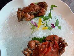 -蟹榭·本帮江浙菜·蟹宴(五角场合生汇商场店)