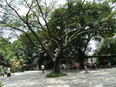 -荔湾博物馆