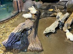-苏州海洋馆