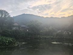 -青花餐厅(雅谷泉山庄酒店)