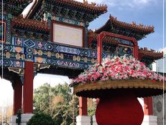 -迎泽公园