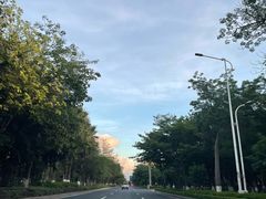 -专业猪脚粉