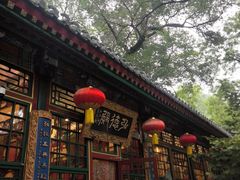 -白家大院·王府宫廷菜(苏州街店)