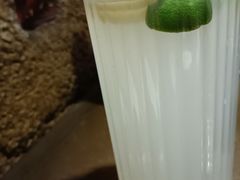 -愿者上钩·纸包鱼(翻身店)