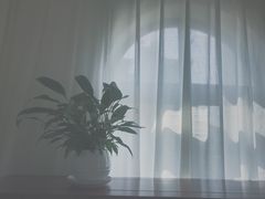 -唐诗楼(竹林庭院店)