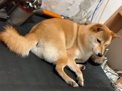 -About Bistro關於·泰式家庭料理