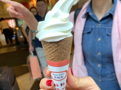 -富豪雪糕车流动点(尖沙咀店)