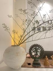 -Y+U遇瑜伽·普拉提