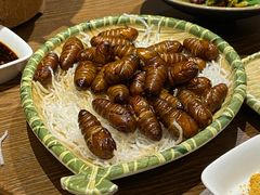 -鸽子窝(青塔店)