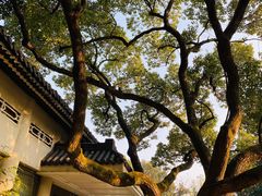 -浙江西子宾馆·瑶园咖啡厅