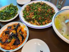 -铁山坪森林公园