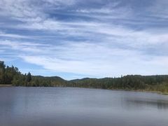 -五营红松林海景区