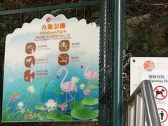 -九龙公园