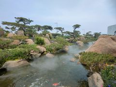 -罗红摄影艺术馆