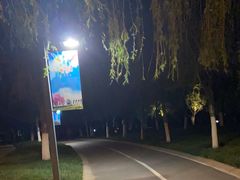 -五环公园