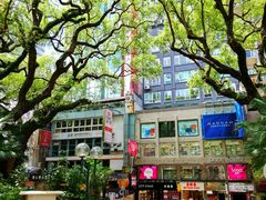 -九龙公园