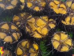 -77号渔船·蒸海鲜青岛菜(积米崖店)