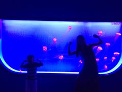 -多彩贵州城极地海洋世界