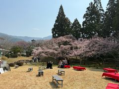 -醍醐寺