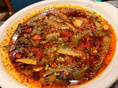 情妹耙泥鳅-情妹耙泥鳅·江湖川菜(科华店)
