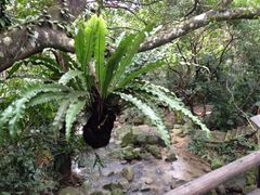 iphone_upload_pic-七仙岭君澜度假酒店