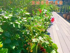 -小河盐帮·私家菜·烤鸭(三元桥·霄云路店)