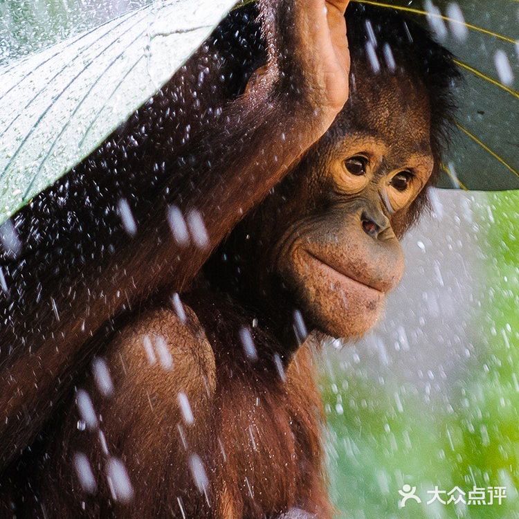 今年都做了啥？一月到处飘