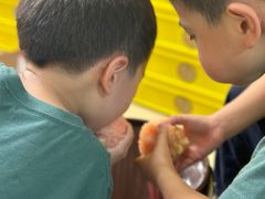 -老袁家蜜桃农场·阳山水蜜桃