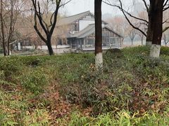 -阮氏酒家(柯桥店)