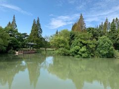 -上海滨江森林公园