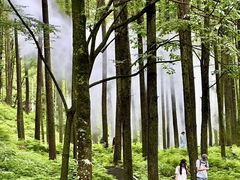 -洛阳白云山景区