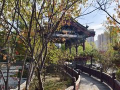 -迎泽公园