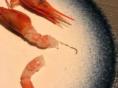 -熊串烧亭.居酒屋(珠江路店)