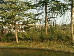 -白鹭湾湿地公园