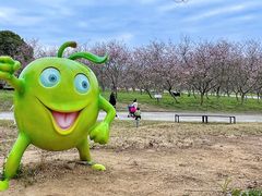 -天适樱花悠乐园