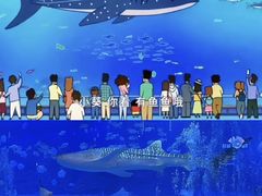 -烟台海昌鲸鲨海洋公园