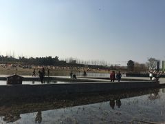 -两河城市森林公园