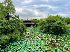-韩湘水博园