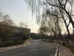 -西安国际创新人才交流中心•药浴温泉