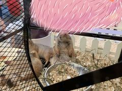-潮汕良记牛肉火锅(洪武路店)