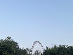 -日照海滨国家森林公园