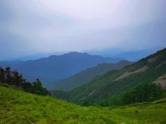 -朱雀国家森林公园