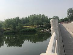 -马家湾湿地公园