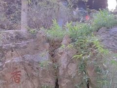 -香雪海