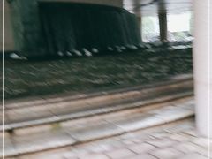 -杭州君悦酒店